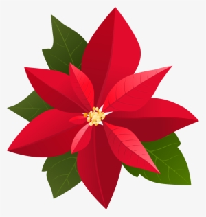Christmas Poinsettia Png Clip Art