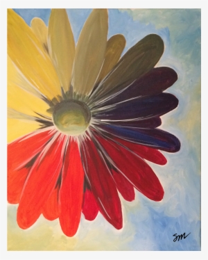 “colorful Daisy” - Common Daisy