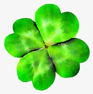 Four Leaf Clover, Clover, Green, St Patty's Day Png - Rotational Symmetry In Flowers