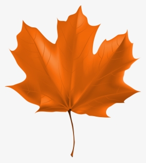 Autumn Leaf Clipart Png