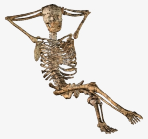 Free Icons Png - Skeleton Png