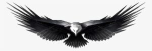 Eagle Png Image, Free Download - Black And White Images Of Eagles