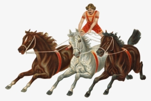 Vintage Carriage Png Stickpng - Hold Your Horses Idiomatic Expressions