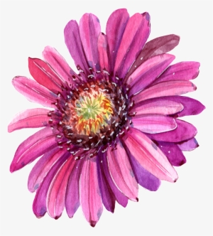 This Graphics Is Hand Painted Red Chrysanthemum Png - Flower