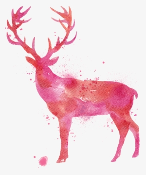 Deer Watercolor Painting Drawing - Deer Watercolor Png