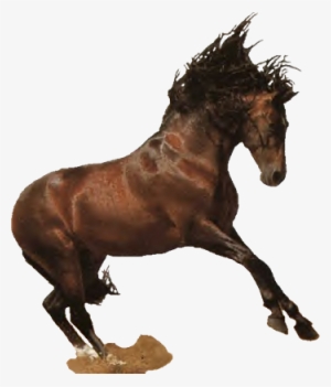 Western Horse Png Jpg Black And White Library - Horse Western Png
