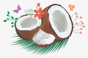 Cocoanut Clipart Coconat - Coconut Oil