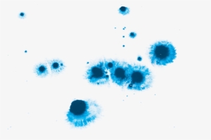 Free Library Watercolor Painting Drop Blue Water Droplets - Watercolor Drop