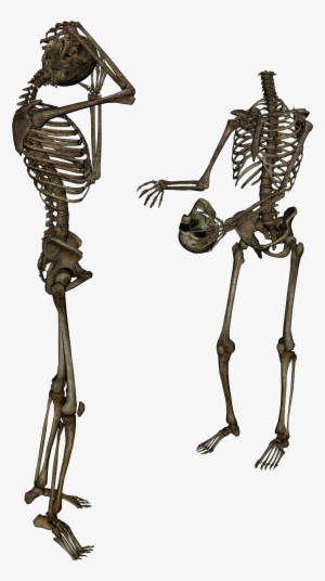 Png On Your Request - Skeletons Png