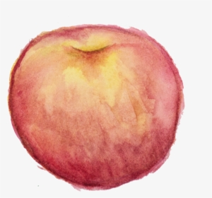 Picture Free Library Apples Transparent Watercolor