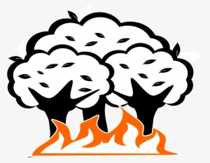 Forest Drawing Pictures At Getdrawings - Drawing Of A Wildfire