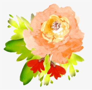 Clip Art Royalty Free Library Free Floral Elements - Transparent Flowers Watercolor Orange
