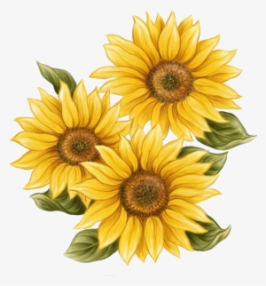 Free Free Realistic Sunflower Svg 883 SVG PNG EPS DXF File