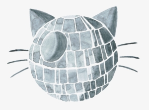 “that's No Moon'' - Armadillo