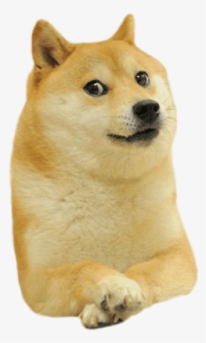 Doge Transparent Png