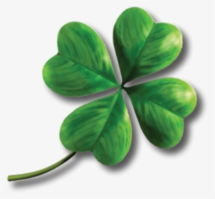 Shamrock Four - Four Leaf Clover Transparent Background