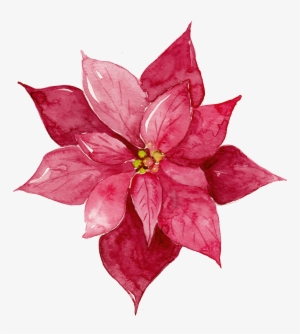 This Graphics Is Red Watercolor Flowers Free Matting - Red Watercolor Flowers Png