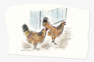 In The Last Remaining Corner, You Will Need A Chicken - Rooster