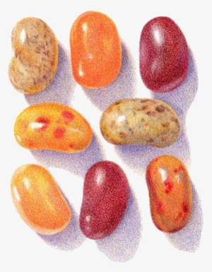 Visual Arts Watercolor Painting - Color Pencil Drawings Candy