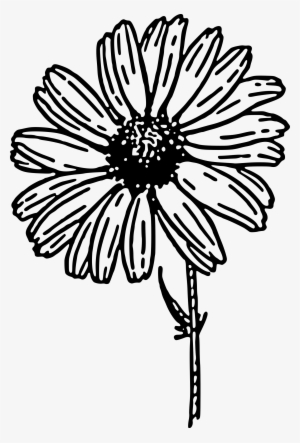 How To Set Use Daisy Clipart