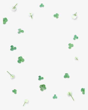 This Graphics Is Green Cute Four Leaf Clover Floating - Poster
