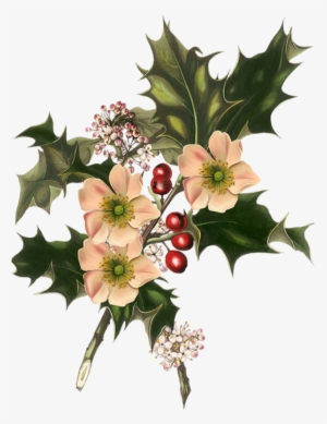 Ноэль Трубы / Цветы, Омела, Короны - Giclee Painting: Holly And White Flowers, 1849, 24x18in.