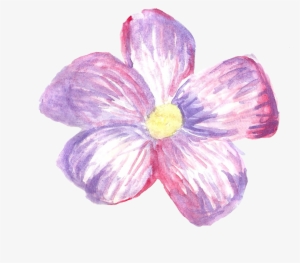Ana Rosa - Png Tumblr Stickers Flowers