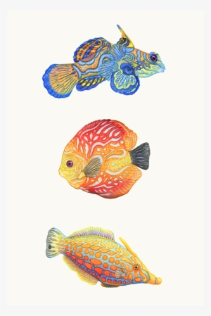 Three Colorful Fish, In Watercolor And Watercolor Pencil - Watercolor Painting