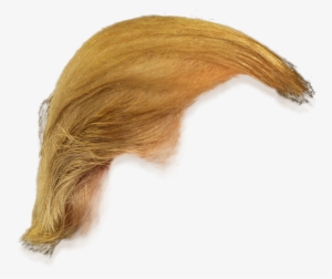 Donald Trump Hair Transparent