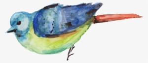 Watercolor Transparent Onlygfx - Watercolour Bird Png