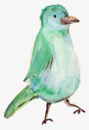 Water Color Bird Png - Bird Vector Png Watercolor