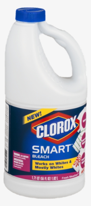 Clorox Bleach Scent