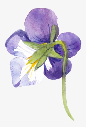 This Graphics Is Purple Hand Painted Small Flower Watercolor - Watercolor Painting