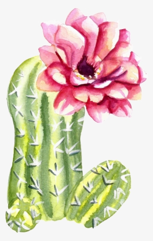 Green Watercolor Hand Painted Cactus Flower Transparent - Cactus