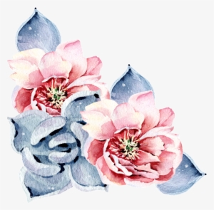 Red Succulent Flower Watercolor Hand Painted Transparent - Watercolor Painting