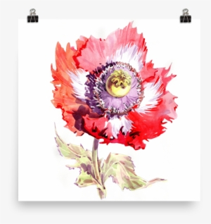 Bright And Floral Poppy Watercolour Matte Poster - Watercolor Painting