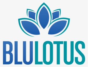 Blu Lotus - Cute Softball Boyfriend Shirts