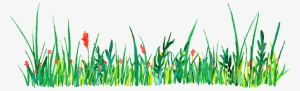 Euclidean Vector Icon - Grass Watercolor Png