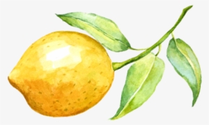 Lemonade Watercolor Png Graphic Transparent Stock - Water Color Lemon Png
