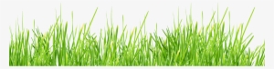 Grass Png Image, Green Picture - Grass Png