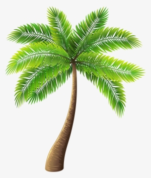 Palm Tree Png Clip Art - Palm Tree Png Cartoon