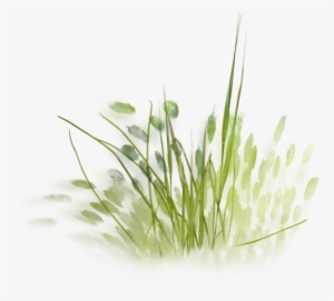 Tree Psd, Watercolor Trees, Landscape Sketch, Landscape - Grass Sketch Png