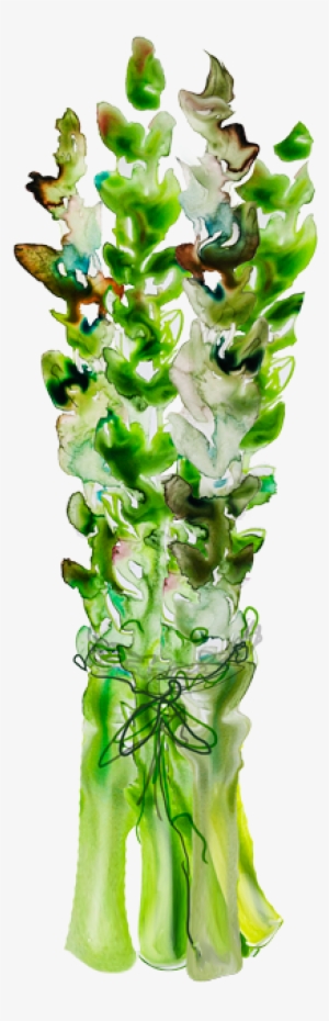 Watercolor Veggies For Holli Thompson Branding - Joseph Joseph - Worktop Saver Boards - Asparagus