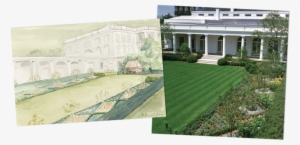 The Rose Garden - White House Rose Garden