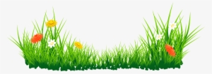 Brush Vector Grass - Nature Png