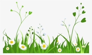 Grass Png Hd - Fazal Name