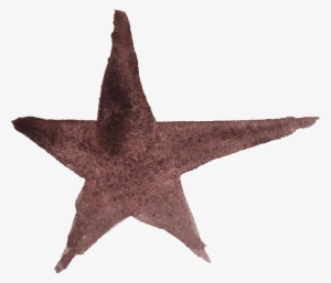 Free Download - Starfish