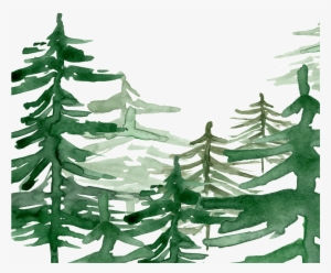 Green Watercolor Hand Painted Forest Transparent - Watercolor Painting