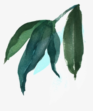 This Backgrounds Is Watercolor Painting Leaves Transparent - Watercolor Painting