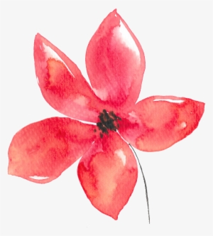 Hand Painted Five Petals Red Flower Watercolor Transparent - Flor Acuarela Png